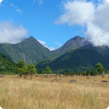 Highland track in North Sulawesi